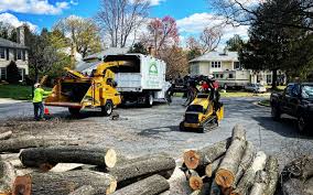 Best Storm Damage Tree Cleanup  in Twin Lakes, VA